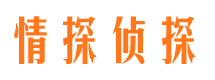 鲁山市侦探调查公司